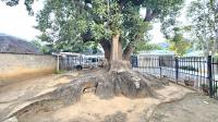  of property in Capital Park