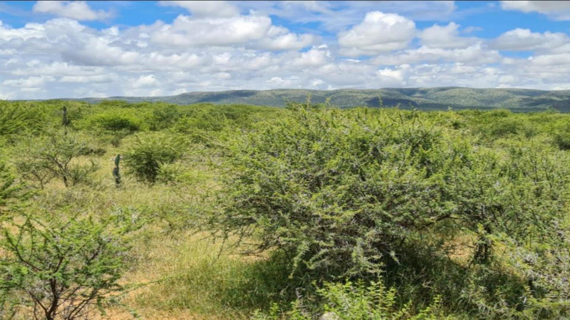 Spaces of property in Emoyeni - Mpumalanga