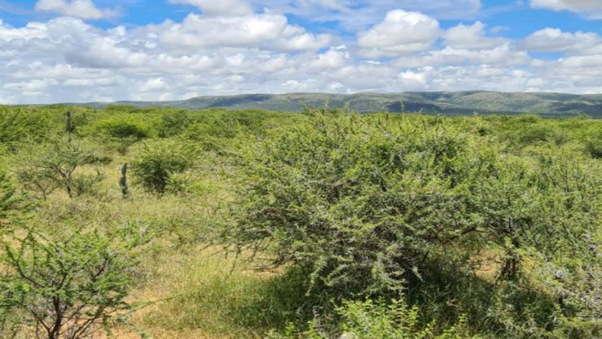 Spaces of property in Emoyeni - Mpumalanga