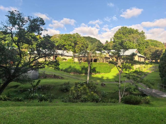 House to Rent in Westville  - Property to rent - MR717200