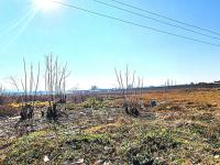  of property in Heidelberg - GP