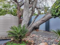  of property in Safarituine