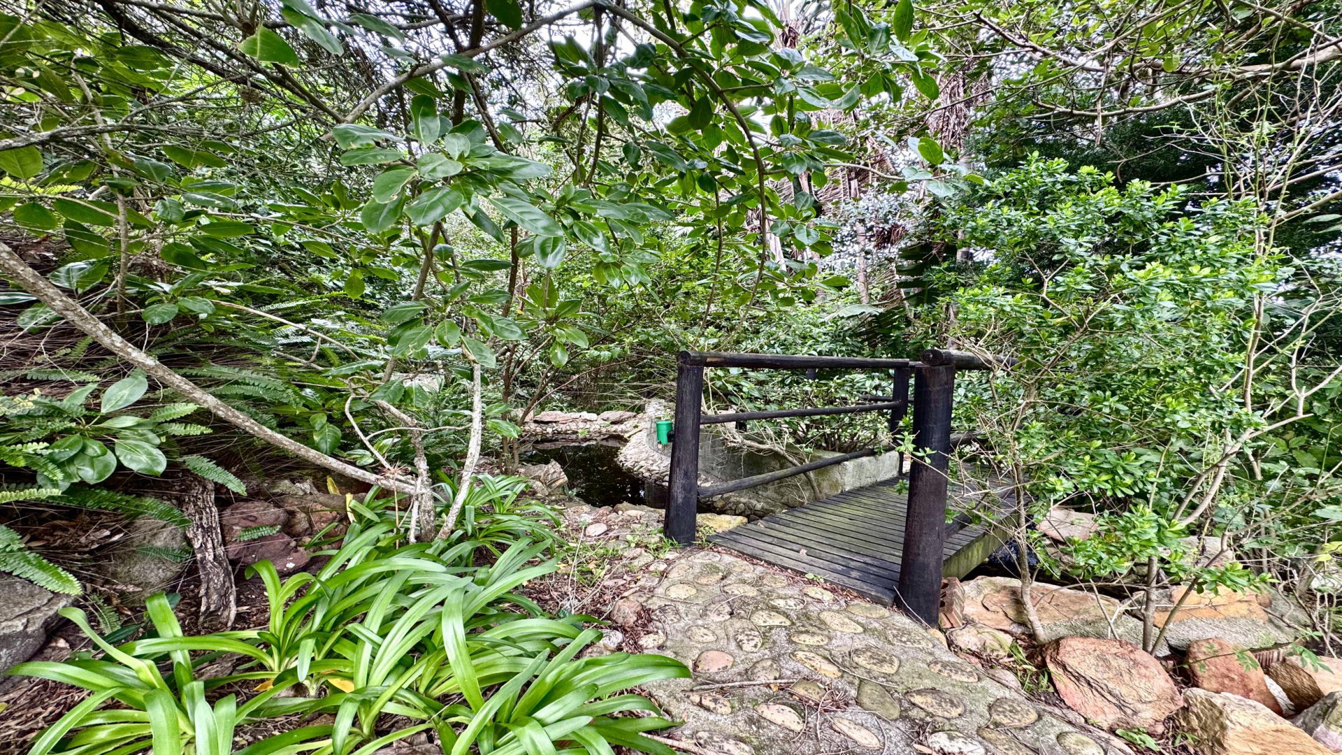 Garden of property in Blue Horizon Bay