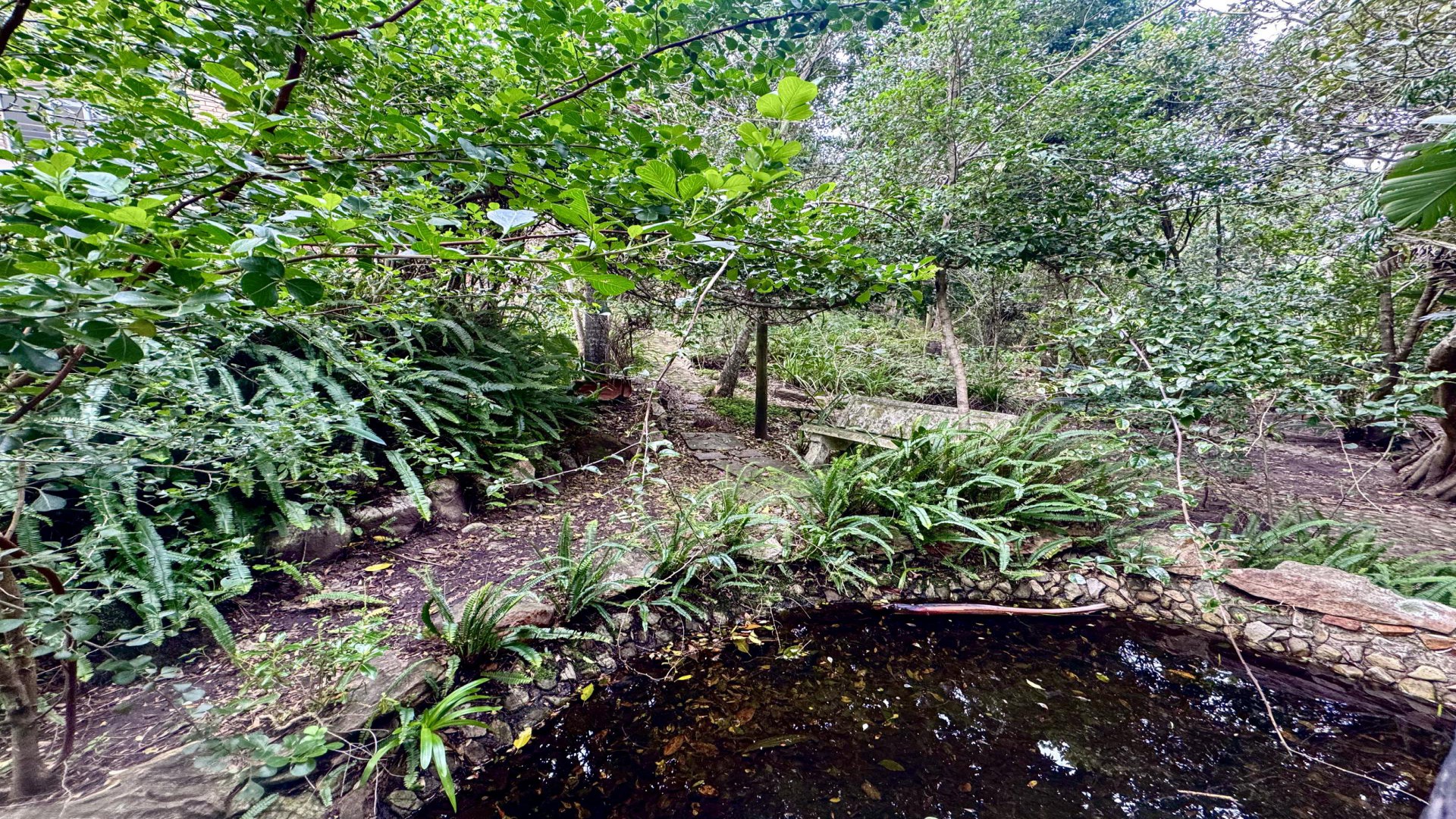 Garden of property in Blue Horizon Bay