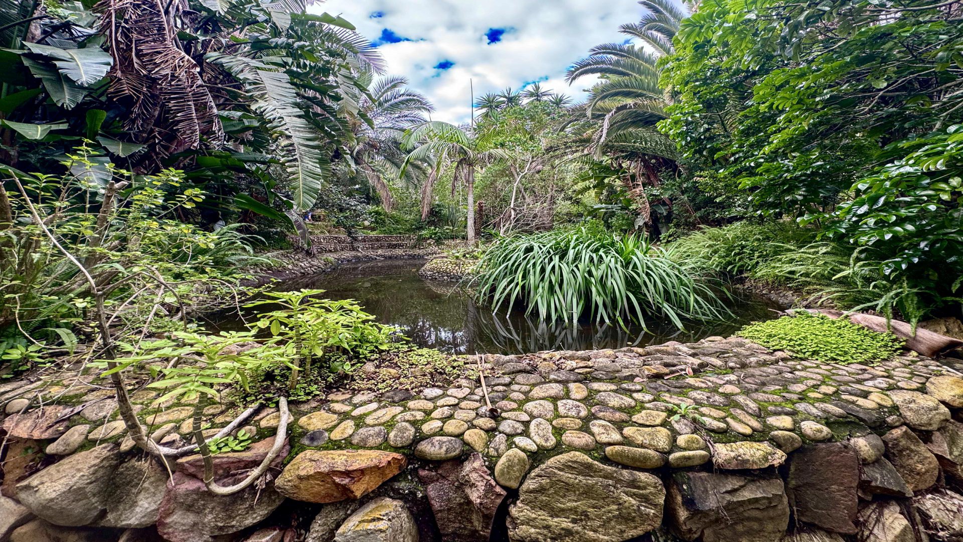 Garden of property in Blue Horizon Bay