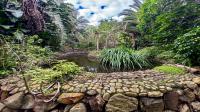 Garden of property in Blue Horizon Bay