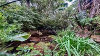Garden of property in Blue Horizon Bay