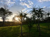  of property in Hoedspruit