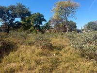  of property in Vaalwater