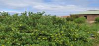  of property in Bluewater Bay