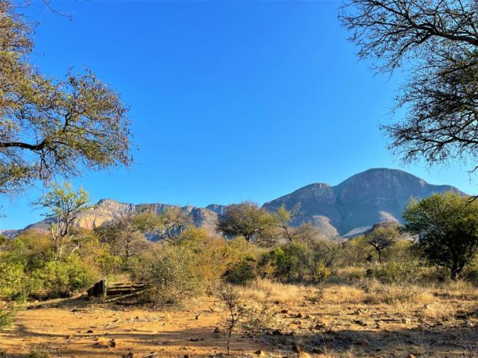 Land for Sale For Sale in Hoedspruit - MR717681