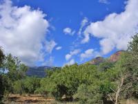  of property in Hoedspruit