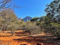  of property in Hoedspruit