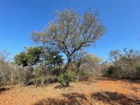  of property in Hoedspruit