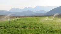 of property in Montagu