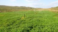 of property in Montagu