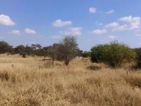  of property in Polokwane