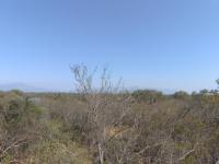  of property in Hoedspruit
