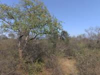  of property in Hoedspruit