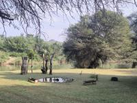  of property in Hoedspruit