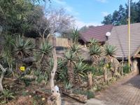  of property in Hoedspruit