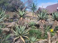  of property in Hoedspruit