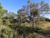  of property in Kampersrus A.H