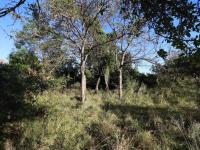  of property in Kampersrus A.H