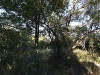  of property in Kampersrus A.H