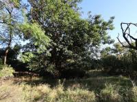  of property in Kampersrus A.H