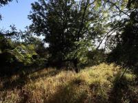  of property in Kampersrus A.H