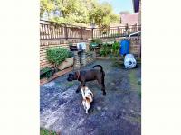  of property in Nkwazi