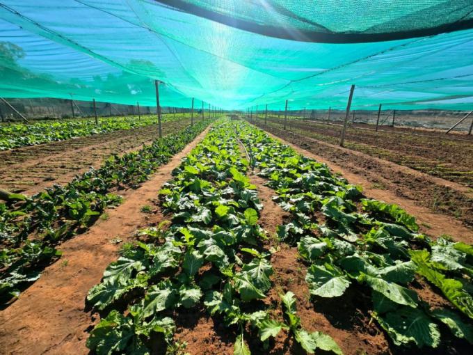 Smallholding for Sale For Sale in Walkers Fruit Farms SH - MR717993
