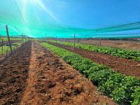  of property in Walkers Fruit Farms SH