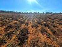  of property in Walkers Fruit Farms SH