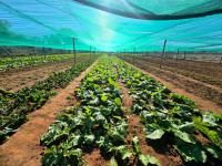  of property in Walkers Fruit Farms SH