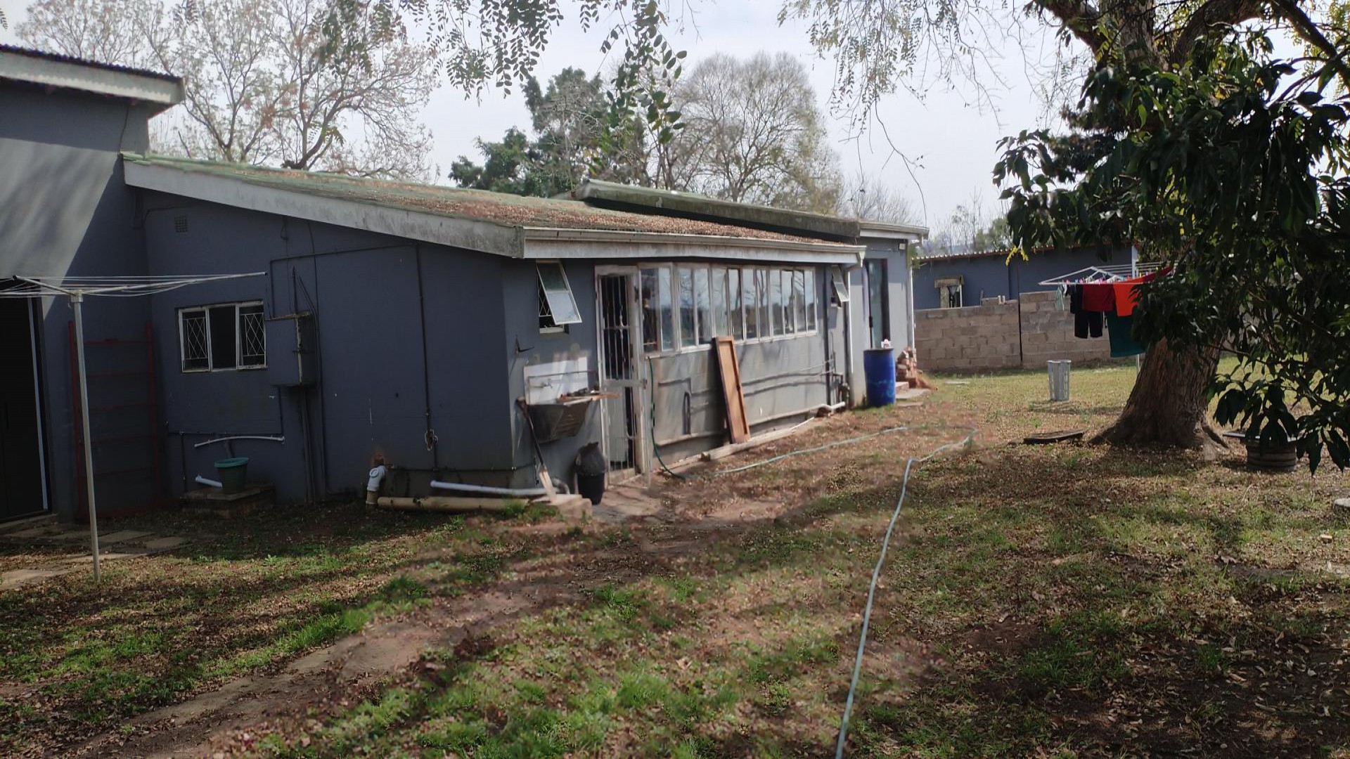 Backyard of property in Ashburton