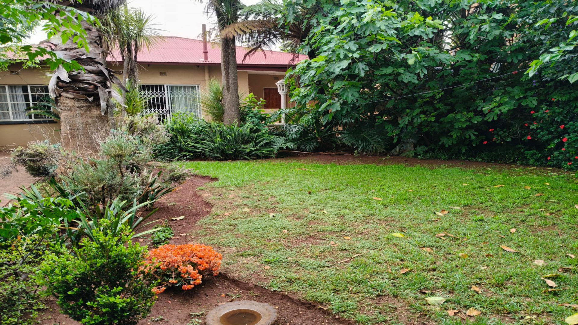 Garden of property in Westdene (JHB)