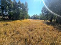 of property in Walkerville
