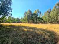  of property in Walkerville