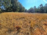  of property in Walkerville