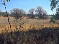  of property in Walkerville