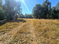 of property in Walkerville