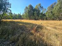  of property in Walkerville