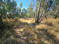  of property in Walkerville