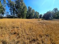  of property in Walkerville