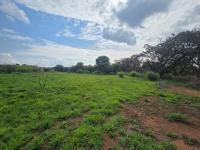  of property in Homestead Apple Orchards AH