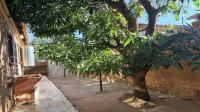 Backyard of property in Soshanguve