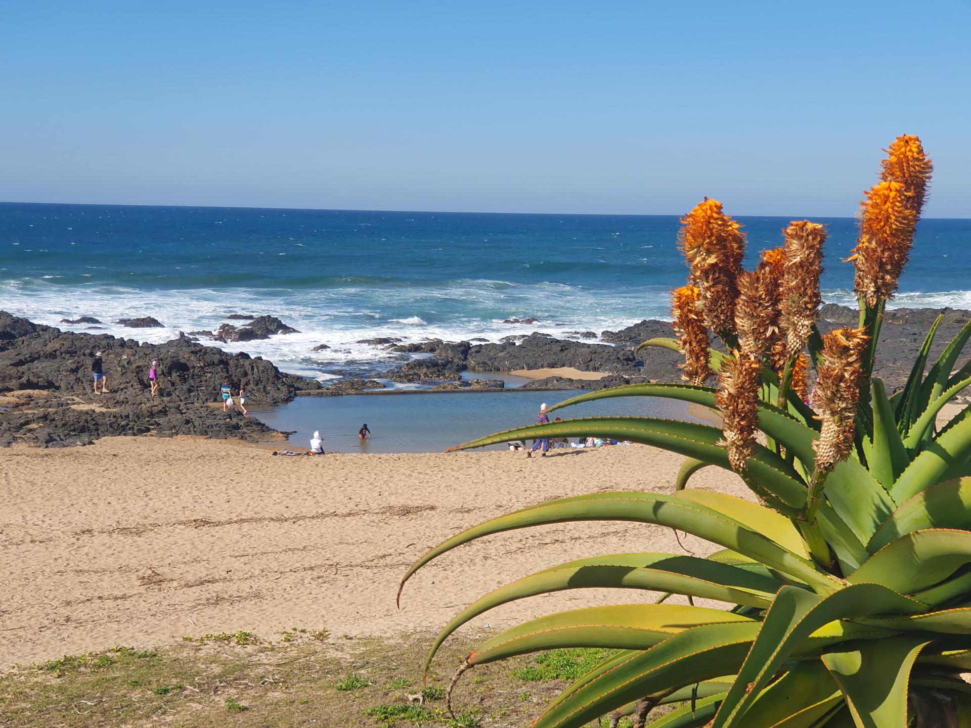  of property in Umtentweni