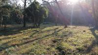  of property in Pennington